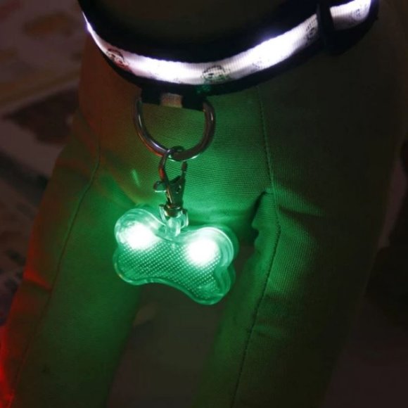 LED Safety Light Name Tag Bone Shaped Pendant Dog - Picture 4 of 13
